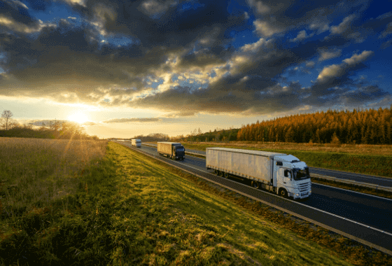 Domestic Removals Melbourne Movers